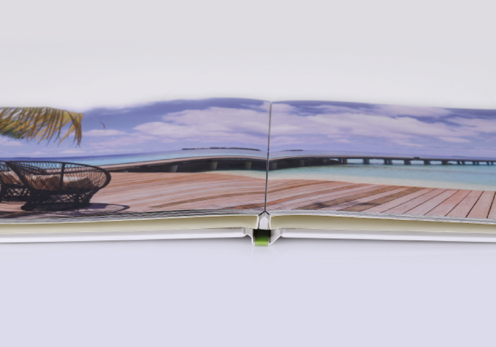 Passion Precision Perfection